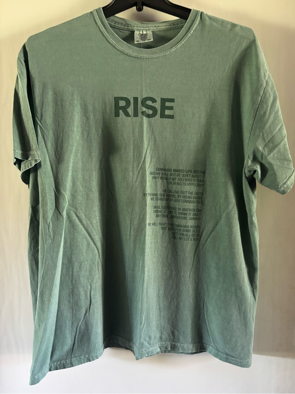 Comfort Colors Men's 'RISE' Short Sleeve Tee in Sage Green